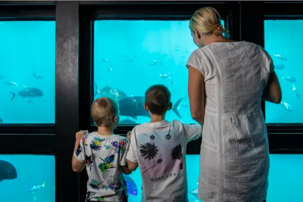 Whitsundays Airlie Beach Hardy Reef Return Cruise Day Tour5