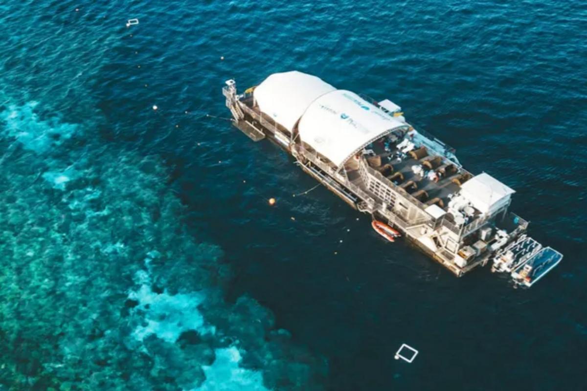 Whitsundays Hamilton Island Hardy Reef Return Cruise Day Tour2