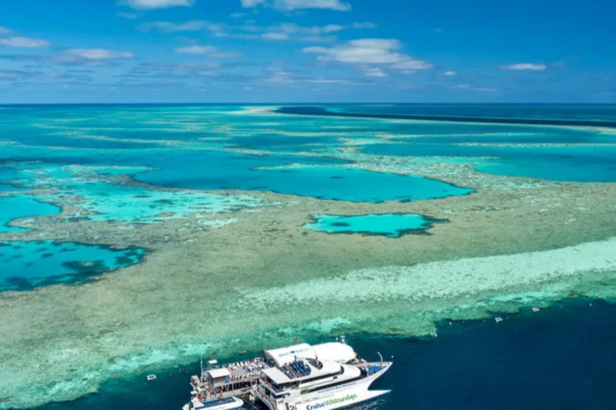 Whitsundays Hamilton Island Hardy Reef Return Cruise Day Tour4