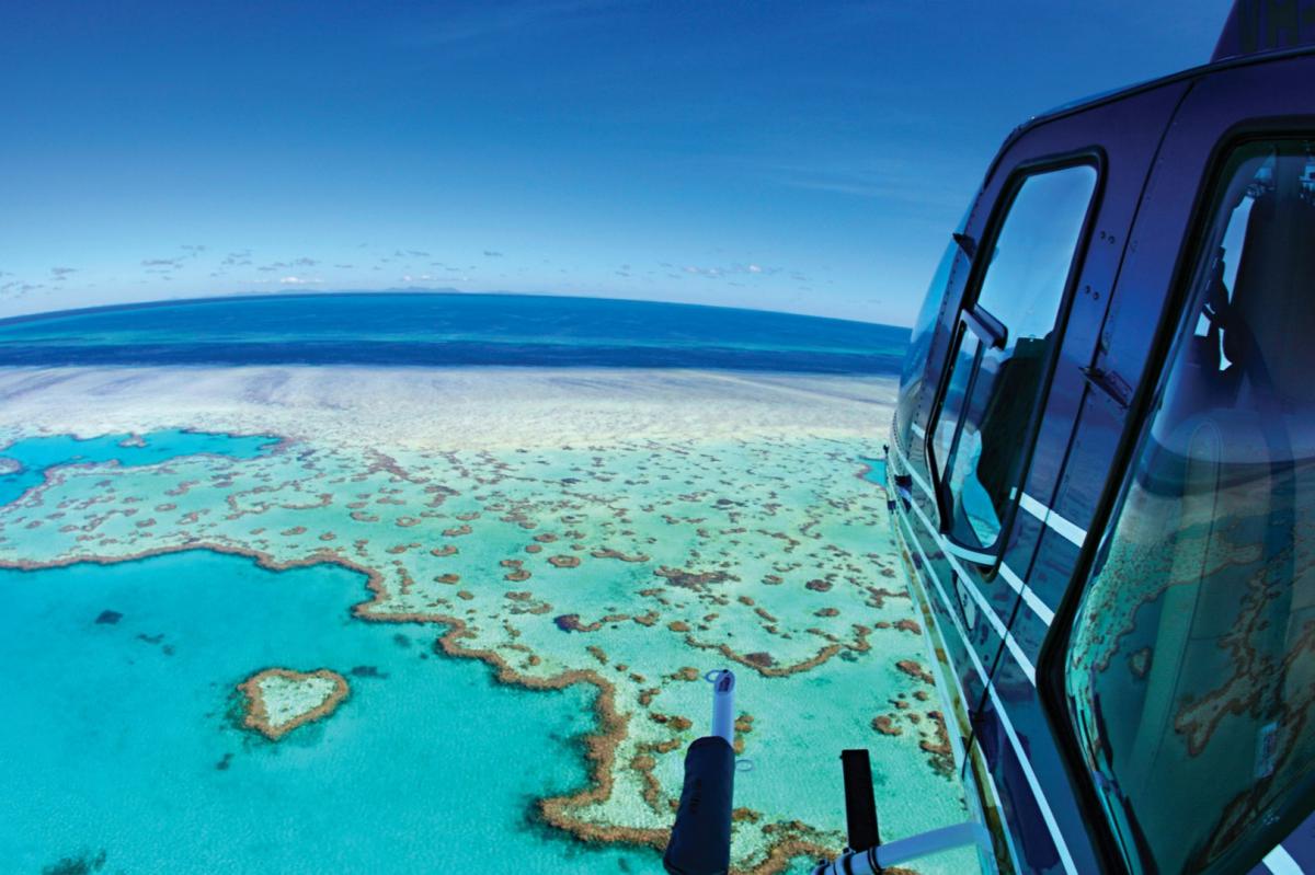 Whitsundays Hardy Reef Great Barrier Reef Day Tour2