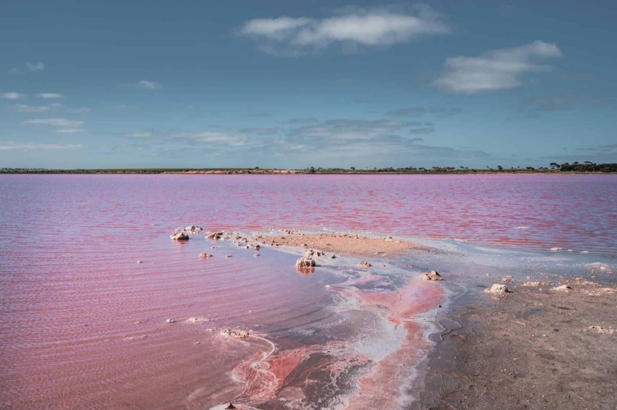 adelaide pink lake