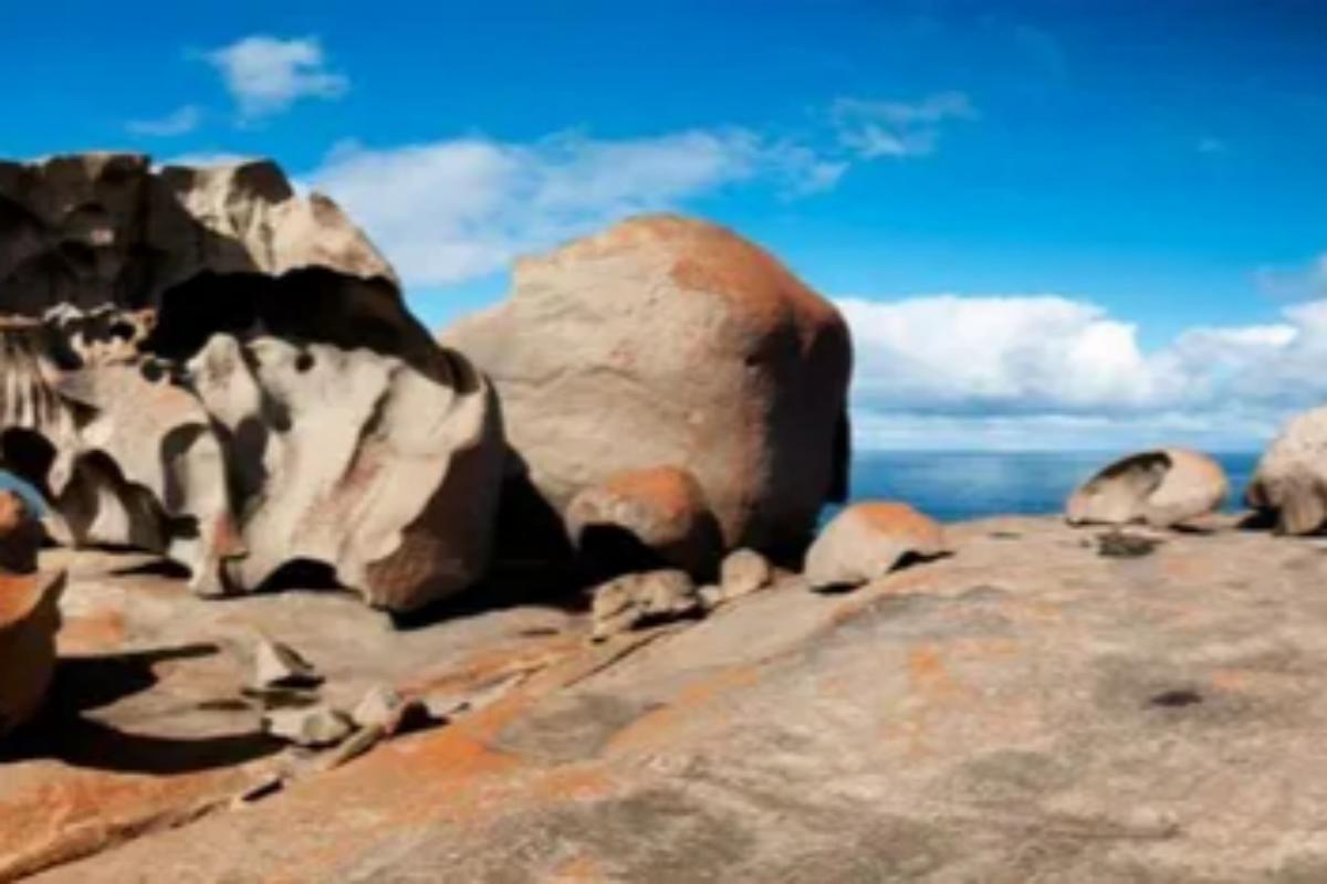 kangaroo island south australia (2)