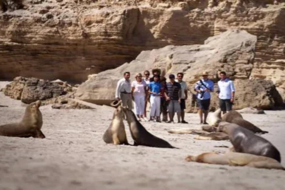 kangaroo island south australia