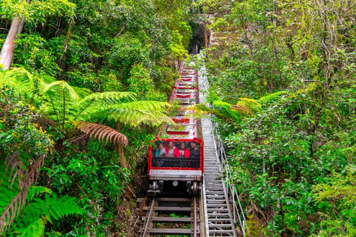 sydney blue mountains train