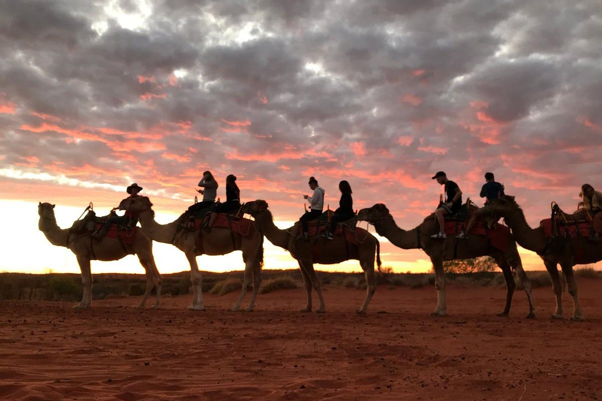 uluru camel tour1