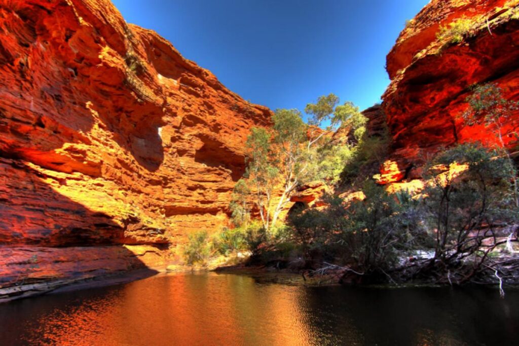 uluru kings canyon northern territory