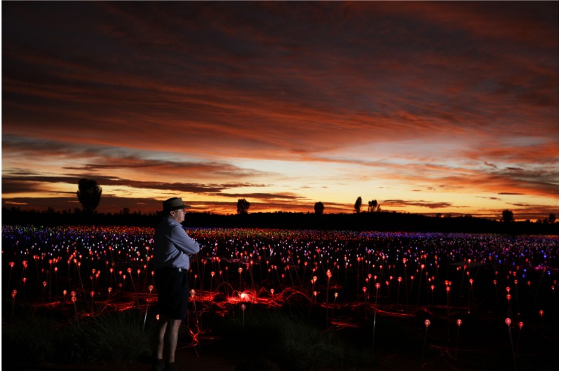 Field of Light Uluru4