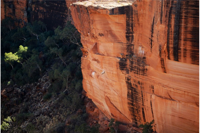 Kings Canyon Day Tour1