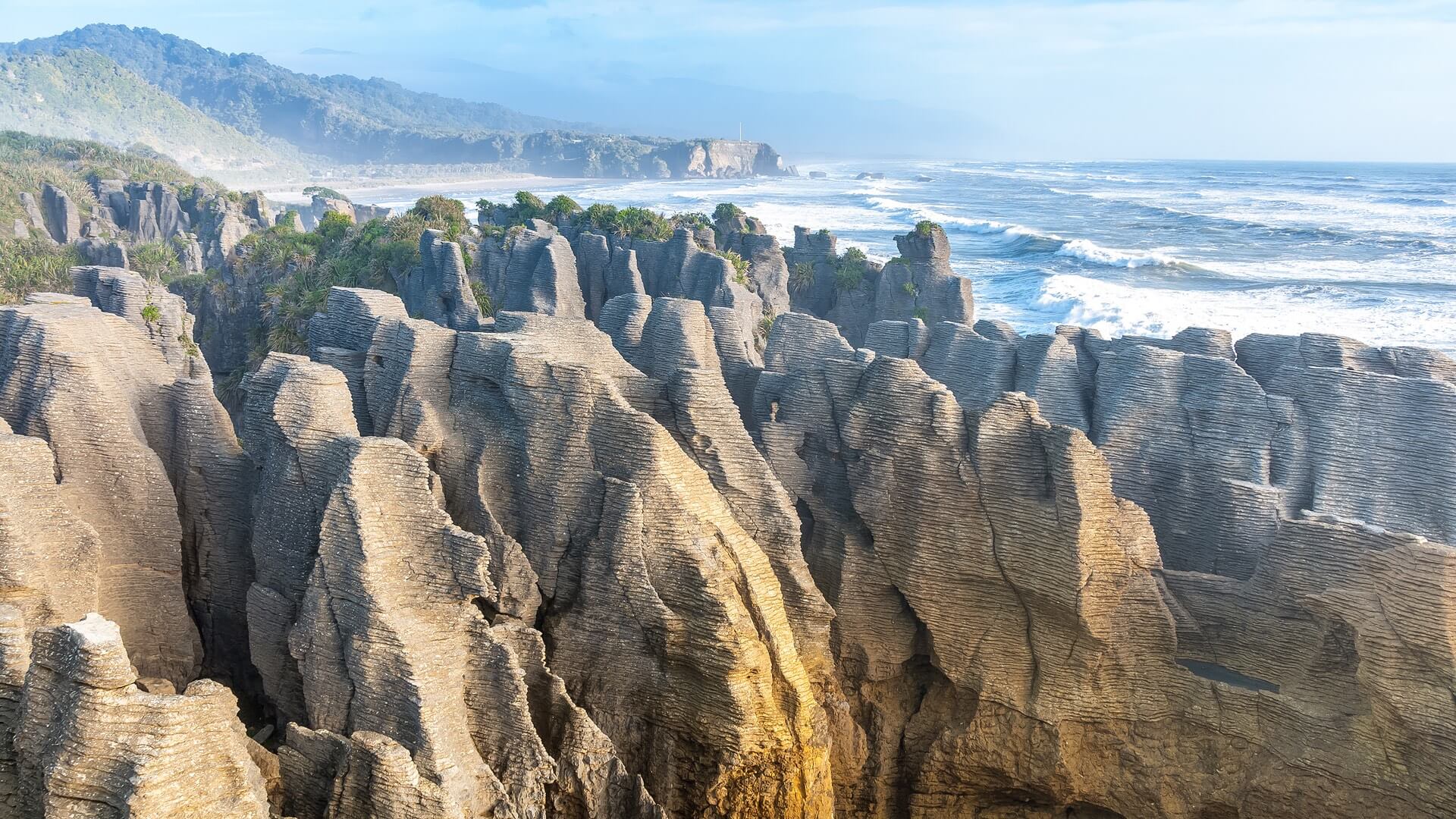 NZ South Island West Coast Glacier Tou1r