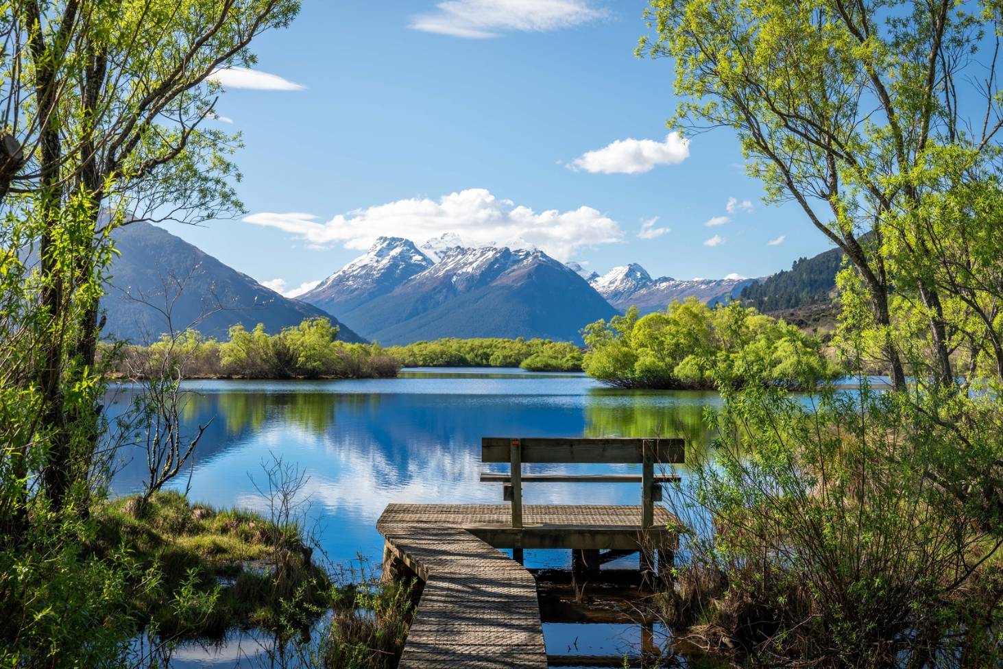 NZ South Island West Coast Glacier Tour3