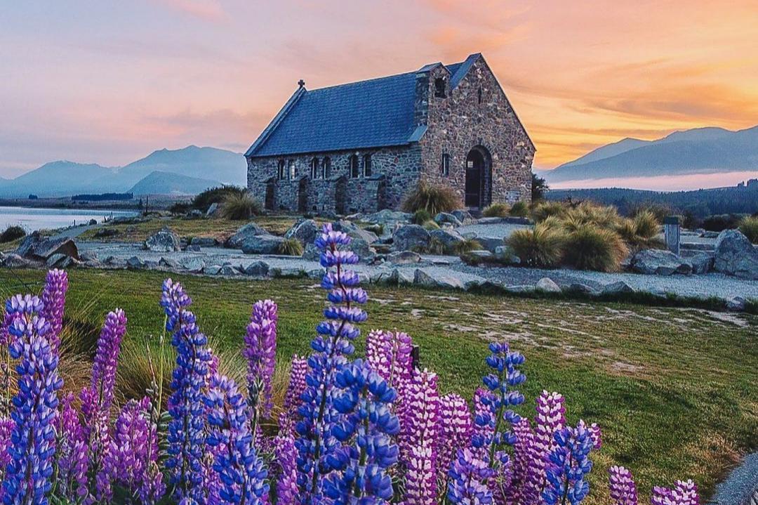 New Zealand South Island Church of the Good Shepherd and lupins.