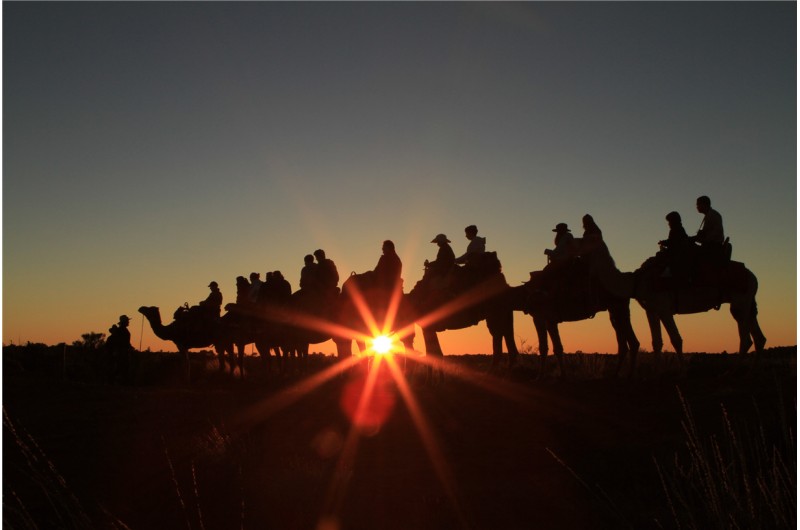 Uluru Camel Tours