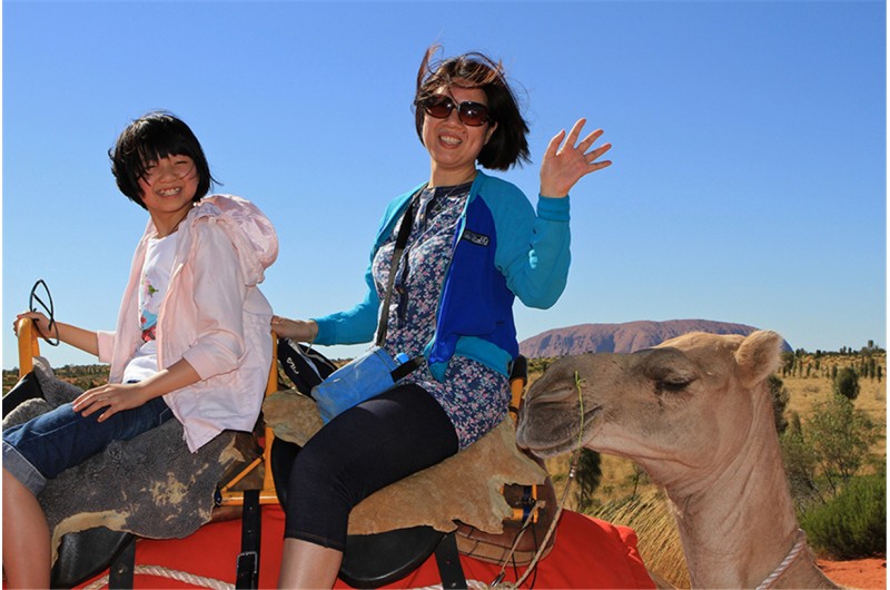 Uluru Camel Tours1