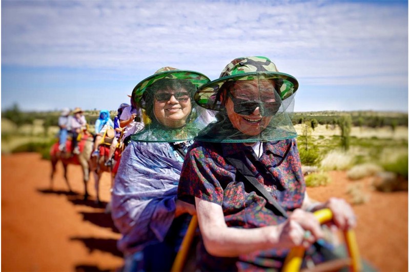 Uluru Camel Tours3