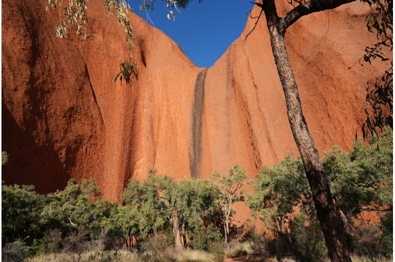 Uluru Sunrise Base Tour3