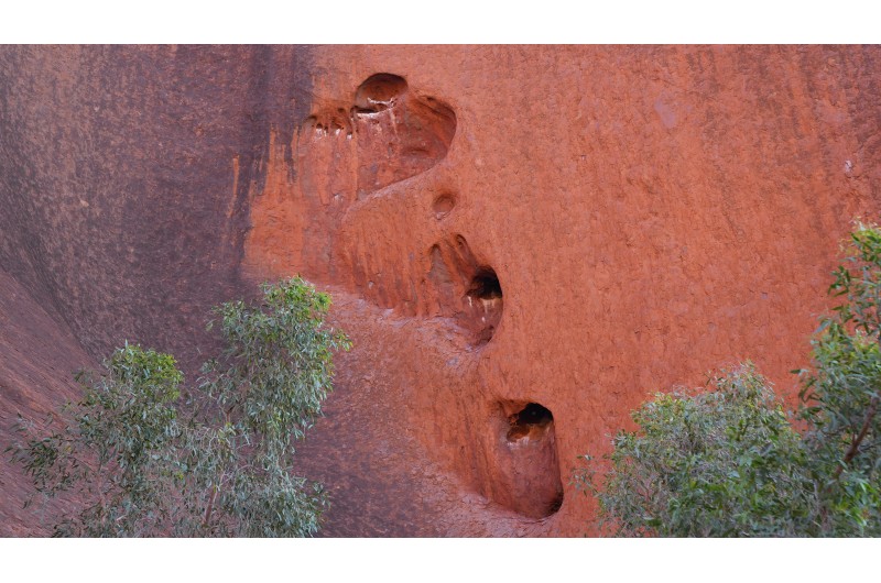 Uluru Sunrise Base Tour4