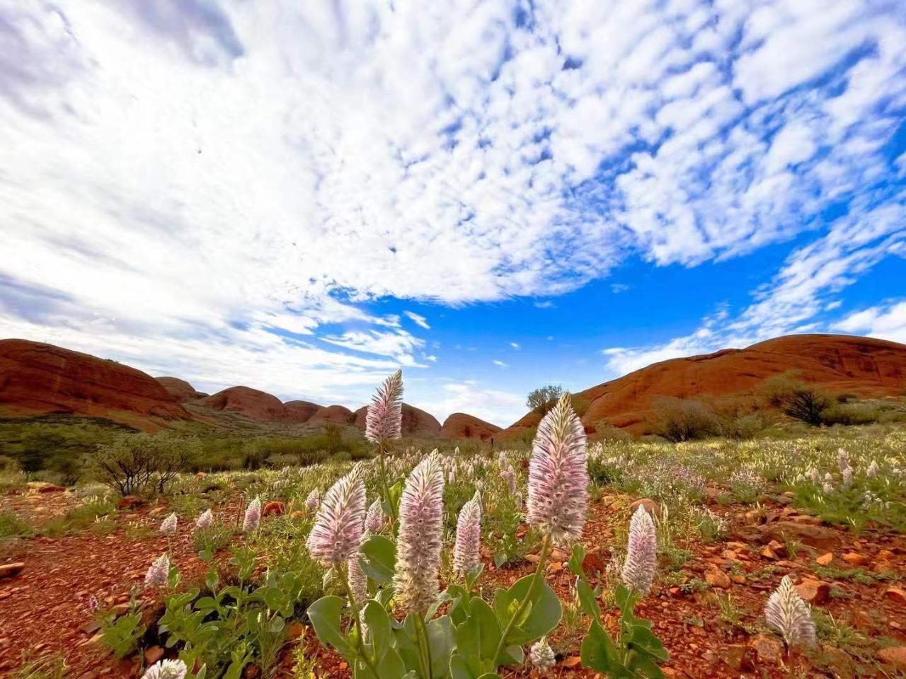 Valley of the Winds Walk