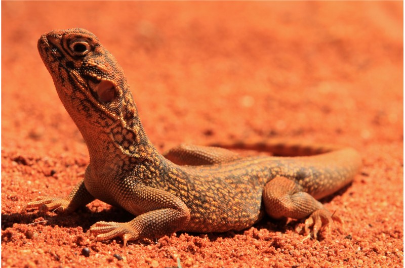 Valley of the Winds Walk1